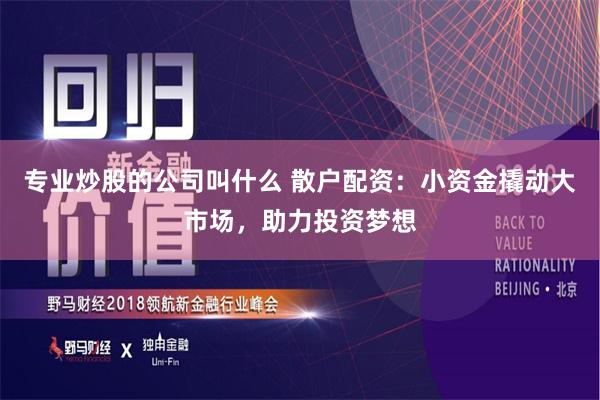 专业炒股的公司叫什么 散户配资：小资金撬动大市场，助力投资梦想